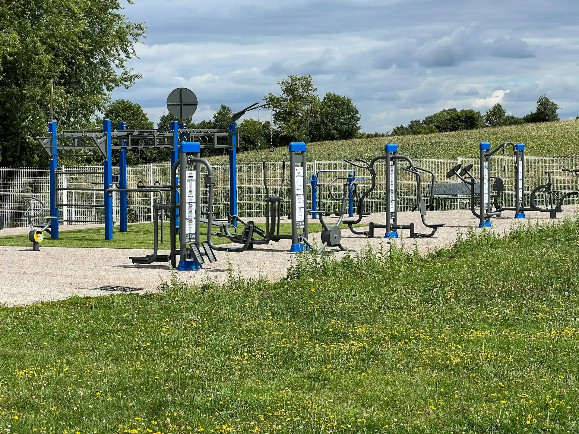 Wide open field with motion path markers showing an outdoor fitness session layout under a soft horizon sky